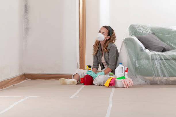 Reliable Mold Remediation contractor in Linden, TX by WQB Mold Removal